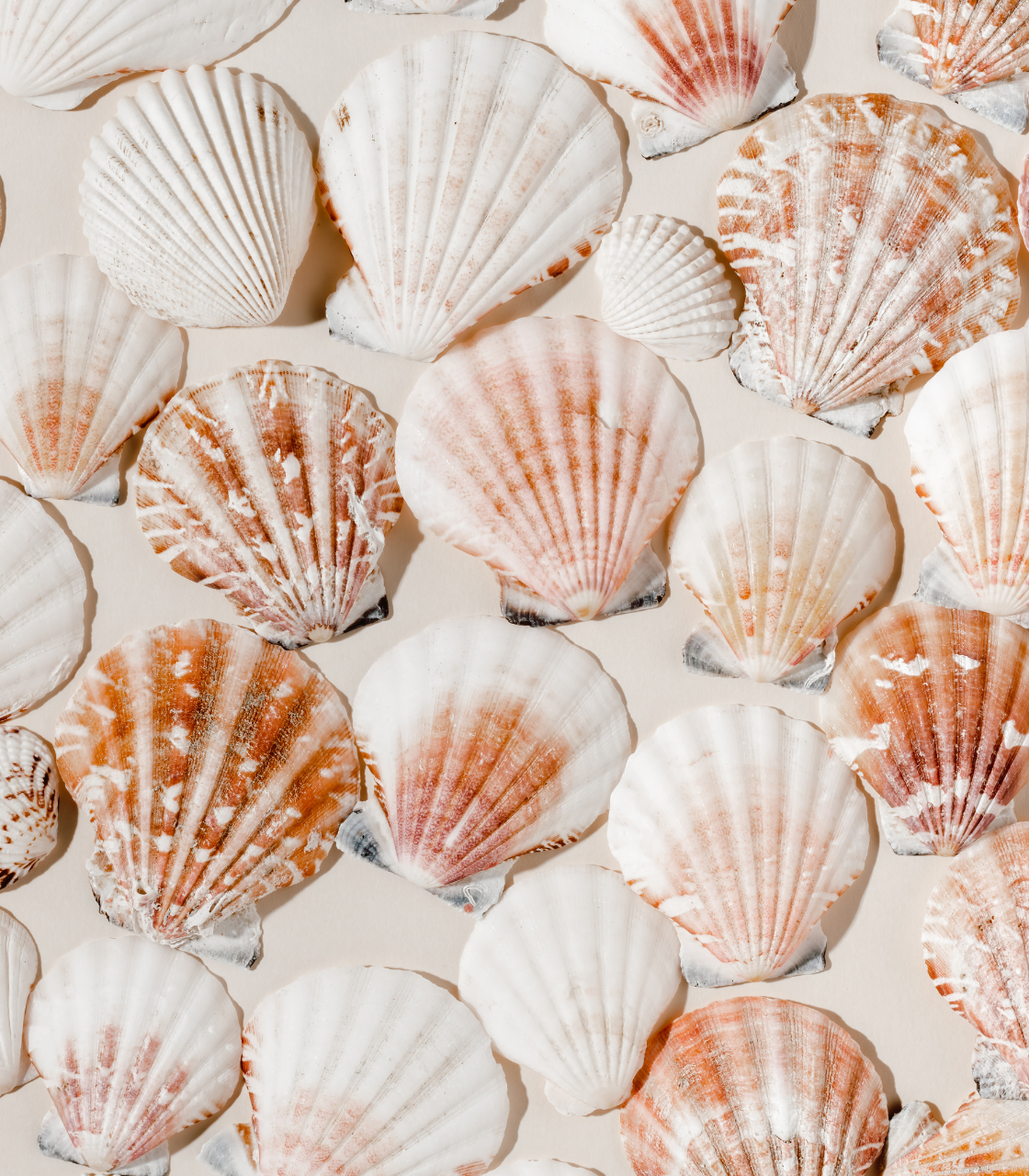 serviço gestão de redes sociais